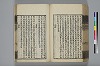詩人玉屑 149/208