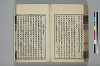 詩人玉屑 173/208