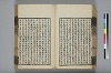 詩人玉屑 071/240