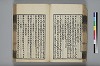 詩人玉屑 081/240