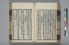 詩人玉屑 103/240