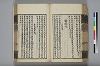 詩人玉屑 115/240