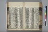 詩人玉屑 134/240