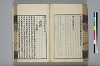 詩人玉屑 146/240