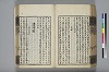 詩人玉屑 166/240