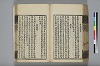 詩人玉屑 174/240
