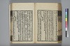 詩人玉屑 175/240
