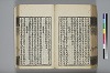 詩人玉屑 176/240