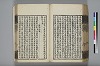 詩人玉屑 177/240