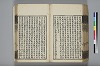 詩人玉屑 178/240