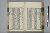 詩人玉屑 179/240