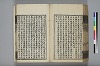 詩人玉屑 199/240