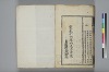 詩人玉屑 238/240